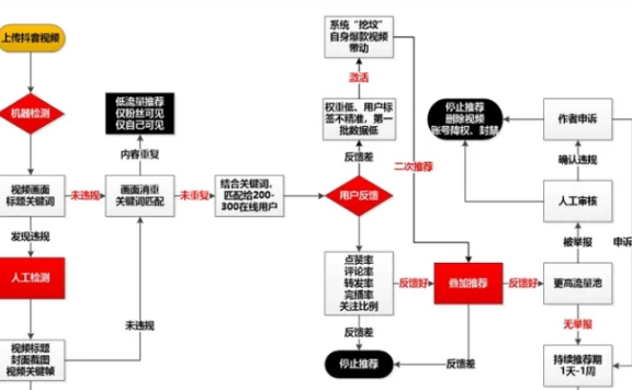 抖音,小红书,视频号算法流量推荐机制