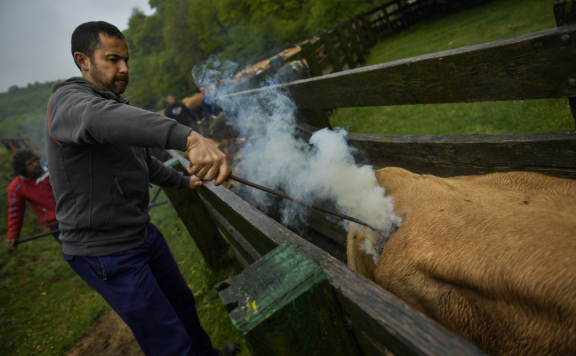 品牌到底是什么?