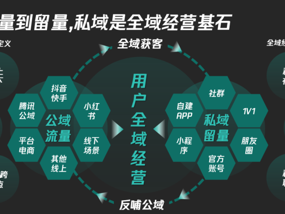 公私域流量分类特点与打法