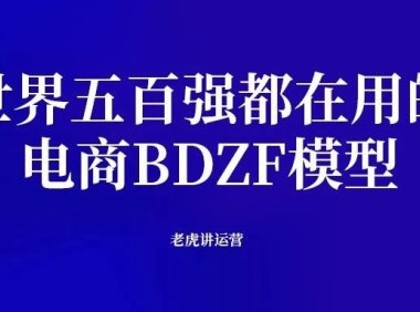 什么是电商BDZF模型
