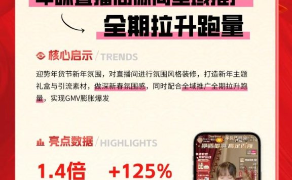 2024年货节品牌营销启示录