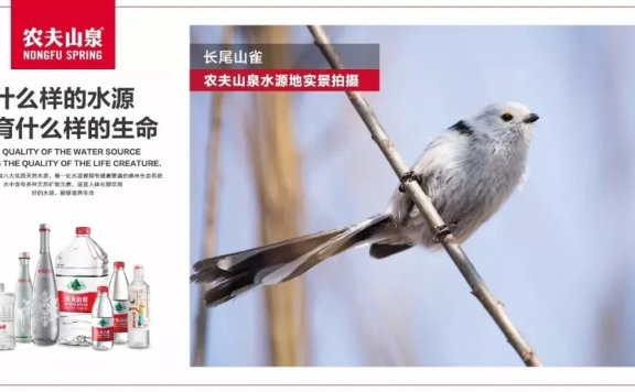 农夫山泉的进攻战思考