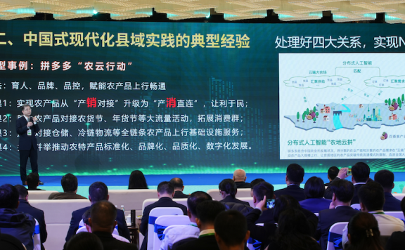 理解拼多多如何围绕“不变”持续做动作