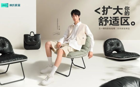 林氏家居圈层引爆营销案例分析