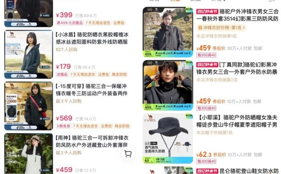 骆驼品牌发展策略案例分析