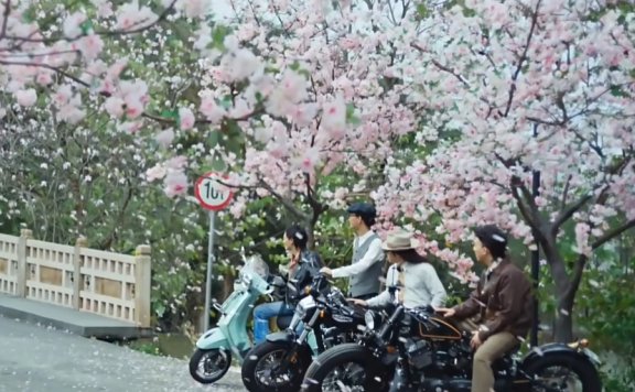 美团外卖创意宣传片《回春就在这一单》