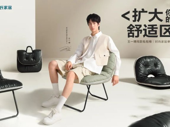 林氏家居圈层引爆营销案例分析