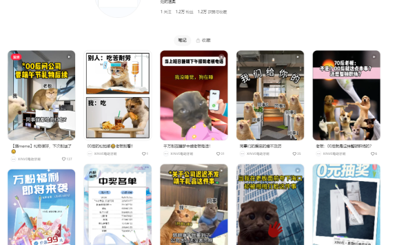 如何预估和规划小红书聚光投放预算?