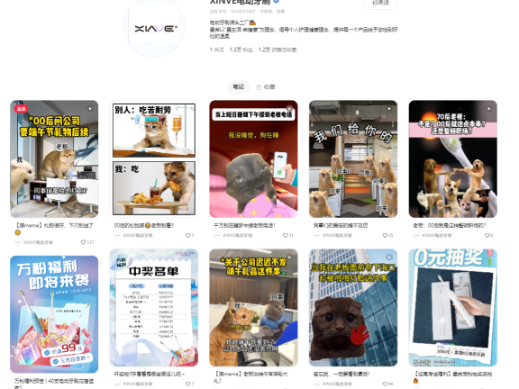 如何预估和规划小红书聚光投放预算?