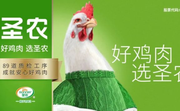 圣农鸡肉的品牌侧翼战
