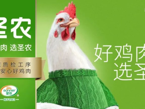 圣农鸡肉的品牌侧翼战