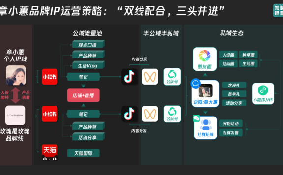 章小蕙的IP全域运营策略