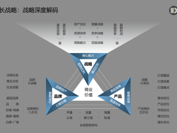 战略大单品的底层逻辑