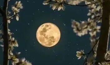 品牌营销应该避免的误区有哪些?