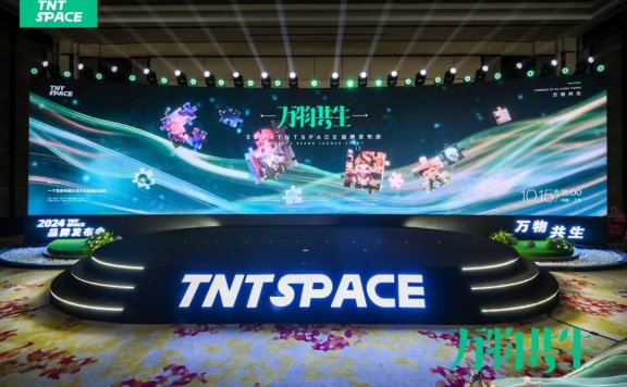 TNTSPACE现象级的爆品是如何炼成的?