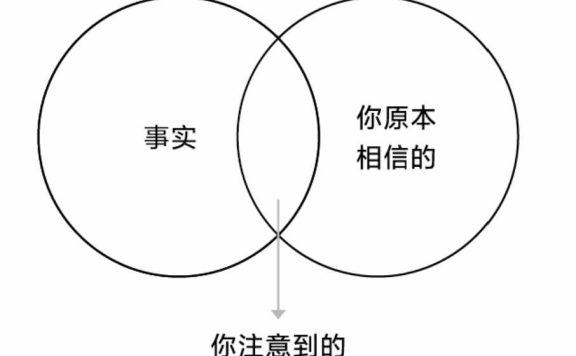 品牌如何在心智中发现占据并做大优势