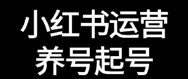 小红书如何做好养号起号操作