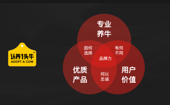 认养一头牛品牌差异化的策略
