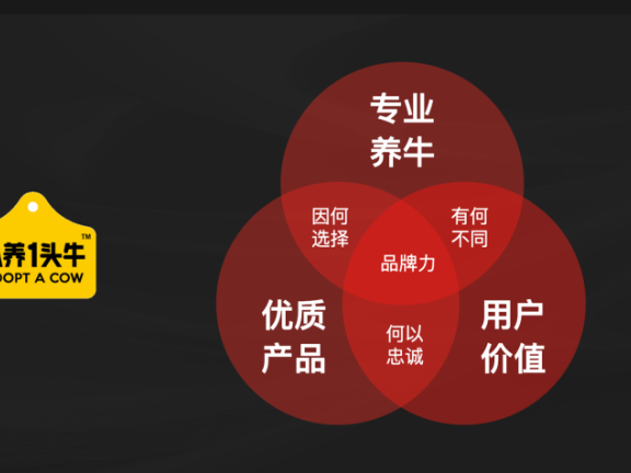 认养一头牛品牌差异化的策略