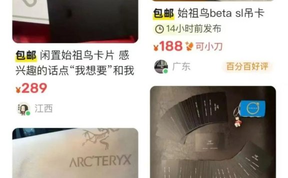 始祖鸟用户消费心理背后的品牌启示录