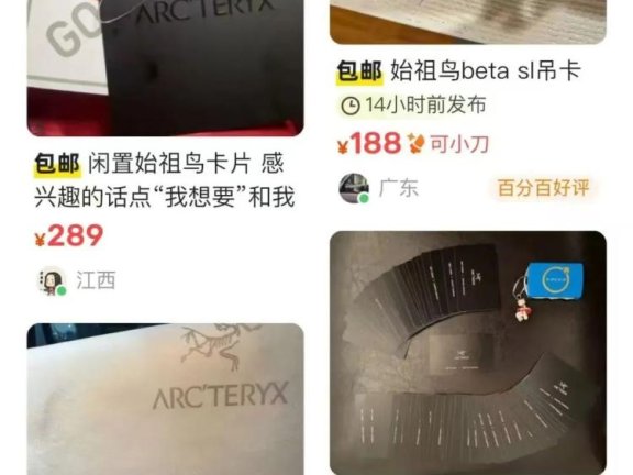 始祖鸟用户消费心理背后的品牌启示录