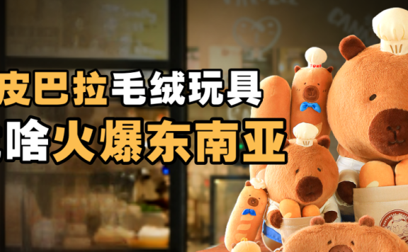 豚豚崽情绪价值的商业实验