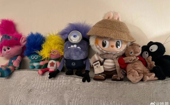 消费者晒labubu的品牌价值动机