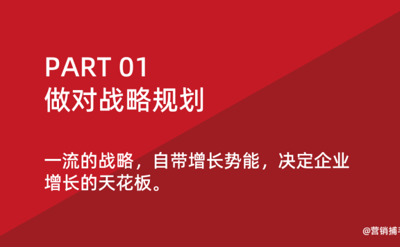 企业增长的战略规划和运营效率策略
