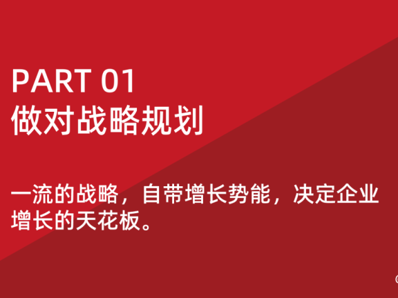 企业增长的战略规划和运营效率策略