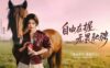 沪上阿姨携手鞠婧祎的马年营销创意