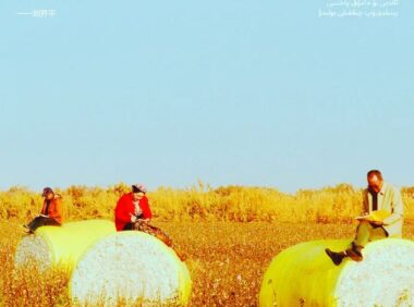 蕉内的品牌广告创意《棉花工人写文案》