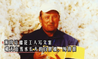 品牌原生化的朴素内容落地方法