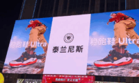 泰兰尼斯的高端品牌策略
