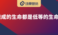品牌年轻化的新思考