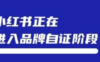 小红书进入品牌自证阶段
