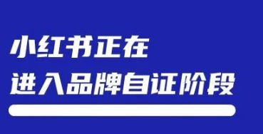 小红书进入品牌自证阶段