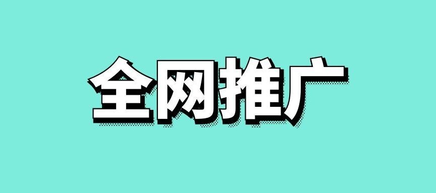 全网推广方案的策划写法