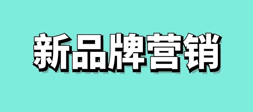新品牌的营销方案策划